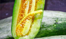 哪里吃网红的瓜,跟随“哪里吃”探寻热门八卦盛宴