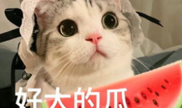 盐城吃瓜网红是谁呀,吃瓜达人是谁？