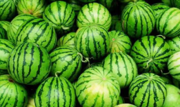 吃瓜爆爆网,揭秘娱乐圈幕后真相，带你走进明星生活