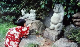 网红井川里吃瓜,揭秘网红背后的真实生活