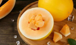 速看天气吃瓜网,揭秘天气与吃瓜的奇妙关系